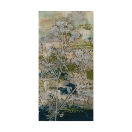 Megan Meagher 'Gossamer Blooms I' Canvas Art,16x32